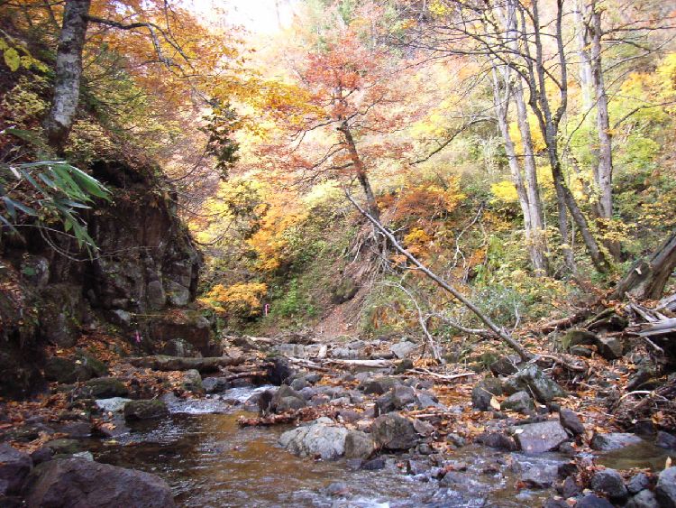 �����k�J