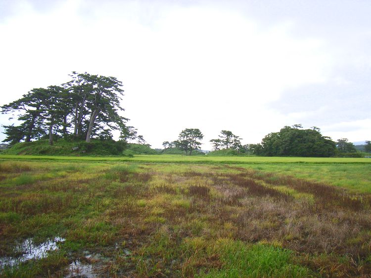 �ɂ��َs�ۊ�