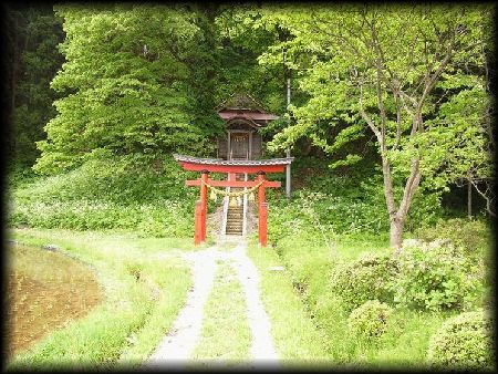 �����_��