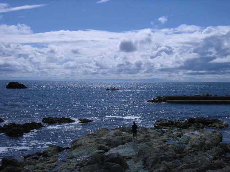 �j������