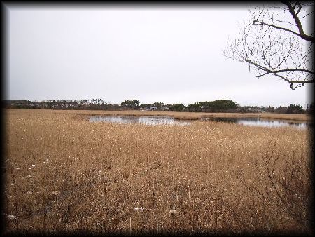 �j���E����