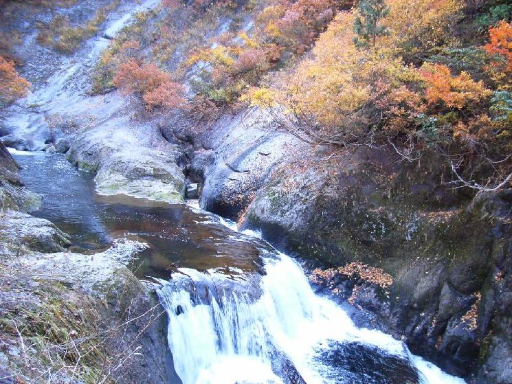 ���m����