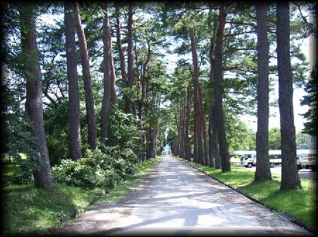 ���E������