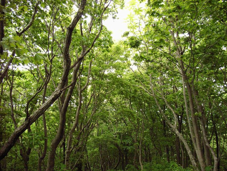 �p�ْ��E��������