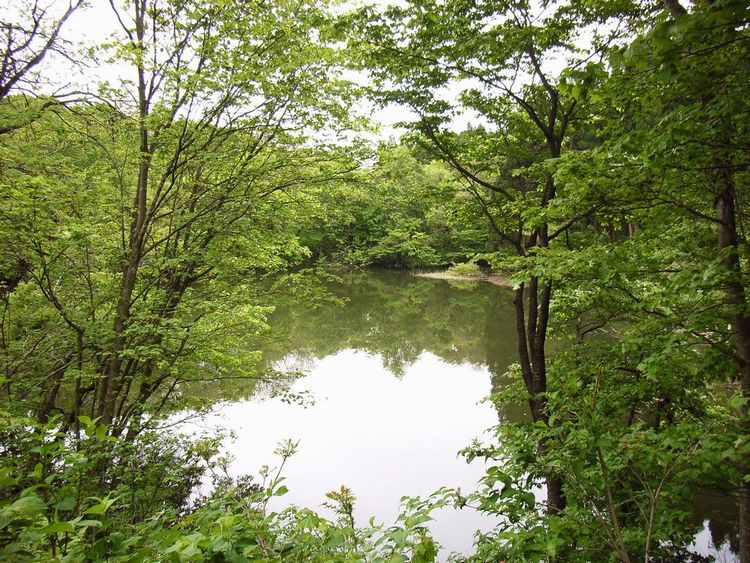 �p�ْ��E��������