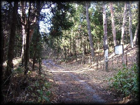 �����ꗢ��