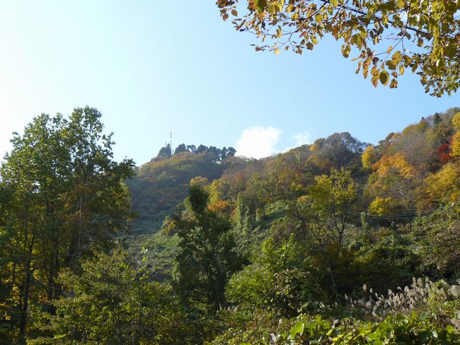 �P�_�R�i�啽�R�j