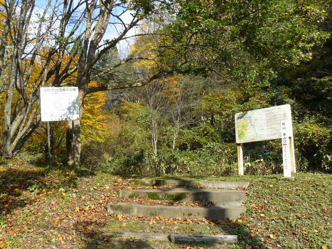 �P�_�R�i�啽�R�j