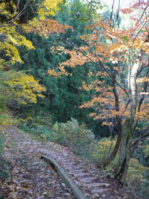 �P�_�R�i�啽�R�j