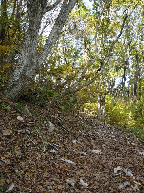 �P�_�R�i�啽�R�j