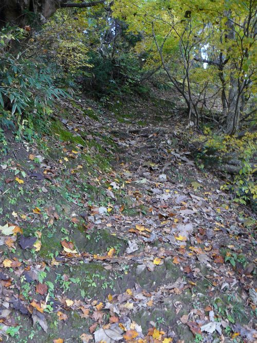 �P�_�R�i�啽�R�j