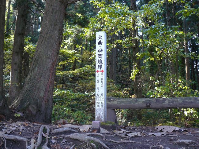 �P�_�R�i�啽�R�j