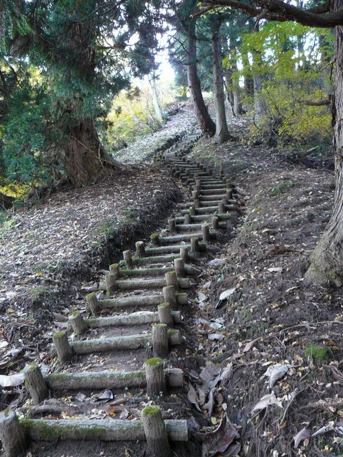 �P�_�R�i�啽�R�j