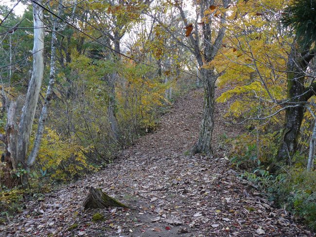 �P�_�R�i�啽�R�j