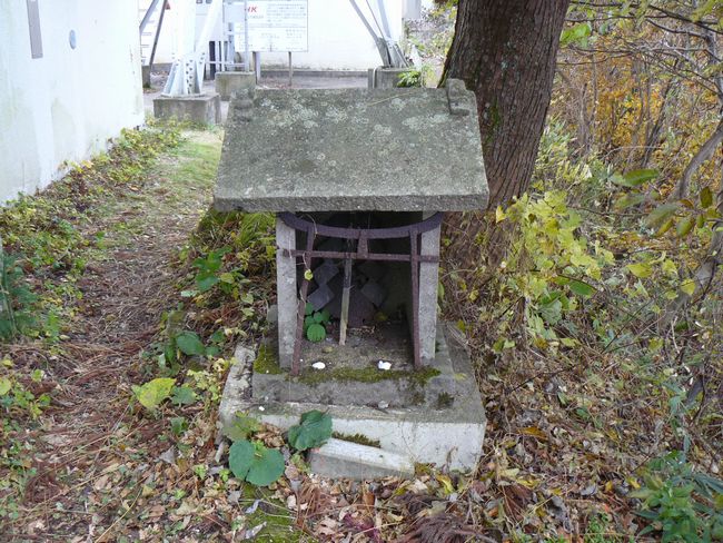 �P�_�R�i�啽�R�j