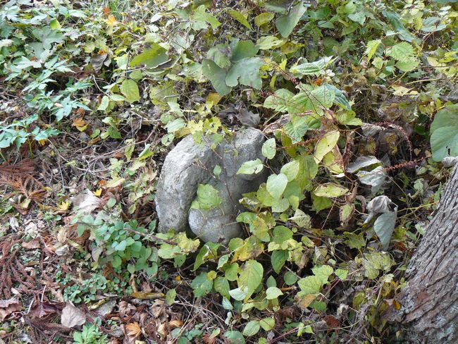 �P�_�R�i�啽�R�j