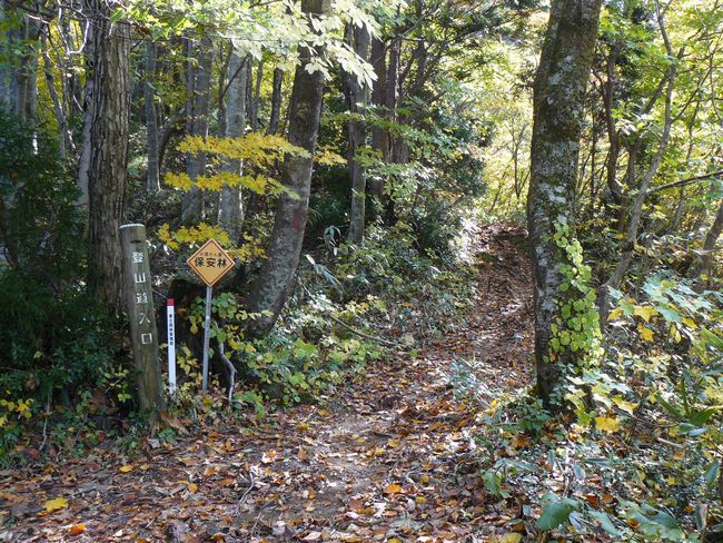 �����R�i�O�x�j