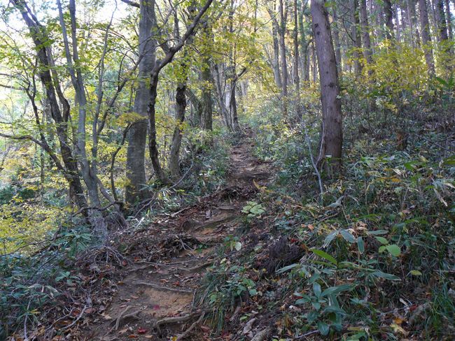 �����R�i�O�x�j