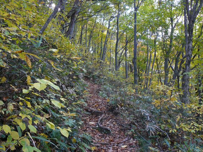 �����R�i�O�x�j