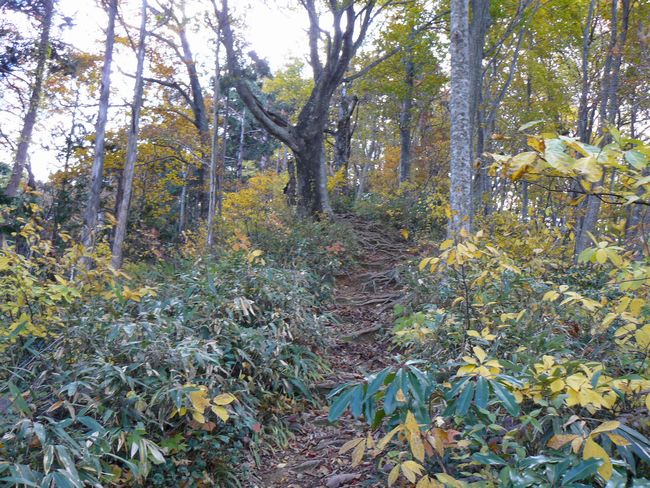 �����R�i�O�x�j