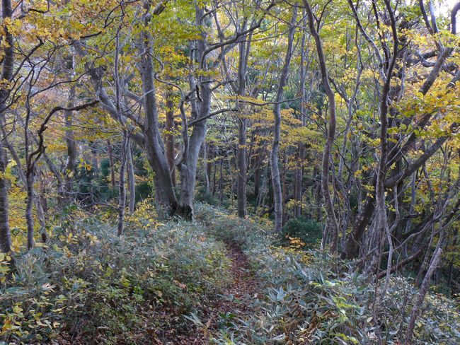 �����R�i�O�x�j