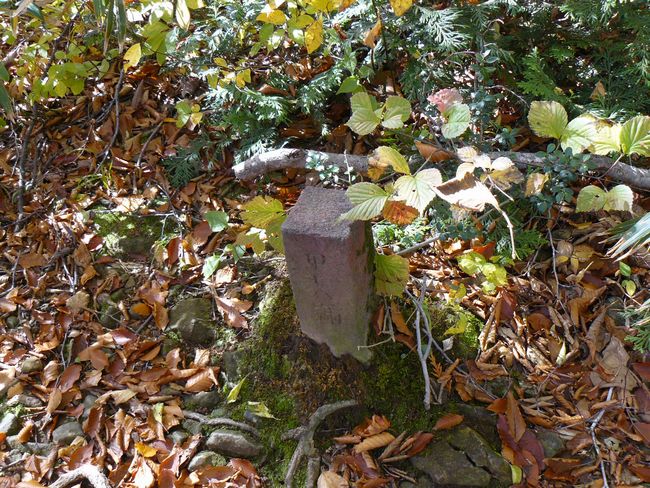 �����R�i�O�x�j