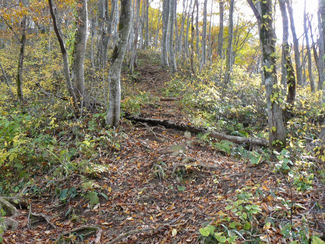 �����R�i�O�x�j