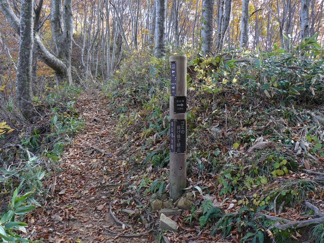 �����R�i�O�x�j