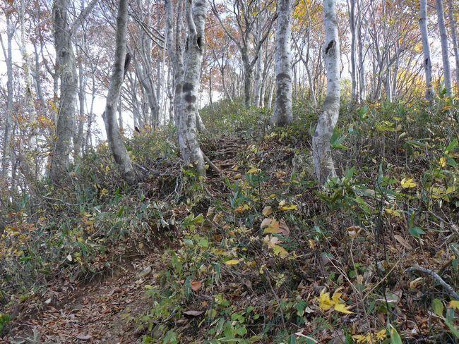 �����R�i�O�x�j