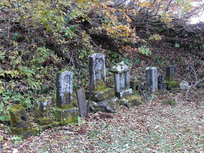 �����R�i�O�x�j