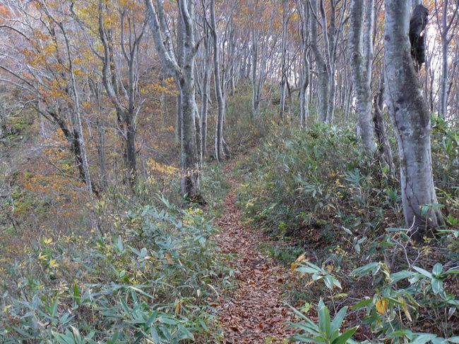 �����R�i�O�x�j